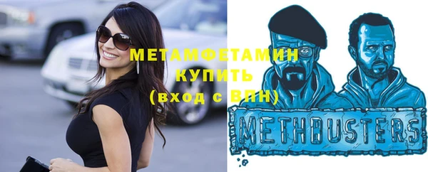 прущие грибы Видное