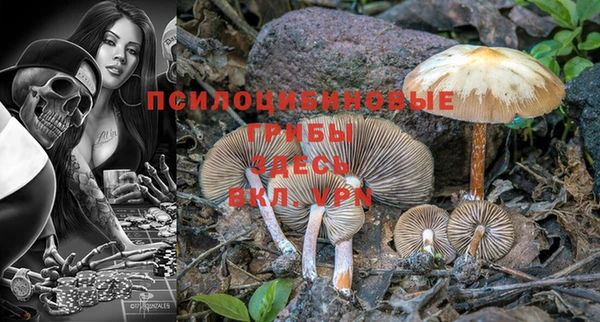 синтетический гашиш Всеволожск