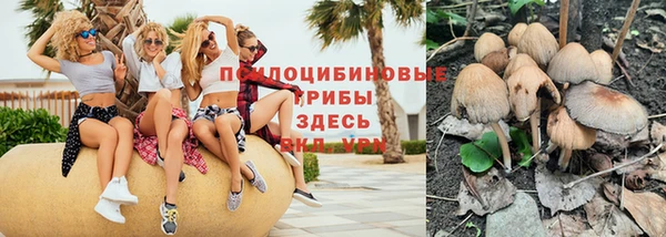 ешки Вуктыл