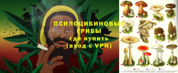 гидра Абинск