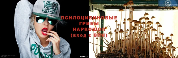 стафф Абаза